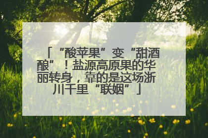 “酸苹果”变“甜酒酿”！盐源高原果的华丽转身，靠的是这场浙川千里“联姻”