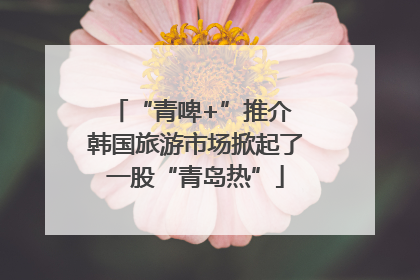 “青啤+”推介 韩国旅游市场掀起了一股“青岛热”