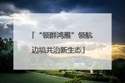 “领群鸿雁”领航边境共治新生态