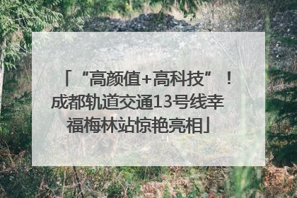 “高颜值+高科技”！成都轨道交通13号线幸福梅林站惊艳亮相