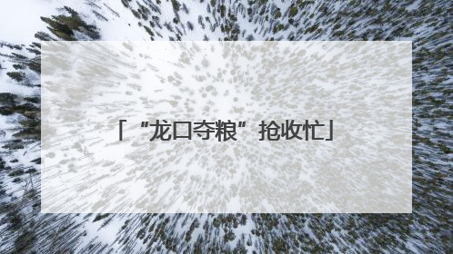“龙口夺粮”抢收忙