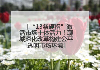 “13条硬招”激活市场主体活力！聊城深化改革构建公平透明市场环境