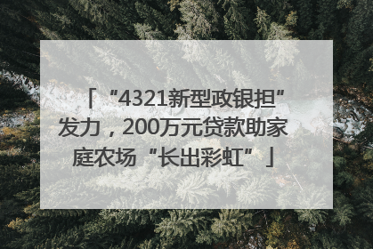 “4321新型政银担”发力，200万元贷款助家庭农场“长出彩虹”