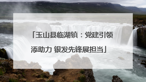 玉山县临湖镇：党建引领添助力 银发先锋展担当