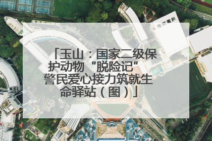 玉山：国家二级保护动物“脱险记” 警民爱心接力筑就生命驿站（图）