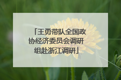 王勇带队全国政协经济委员会调研组赴浙江调研