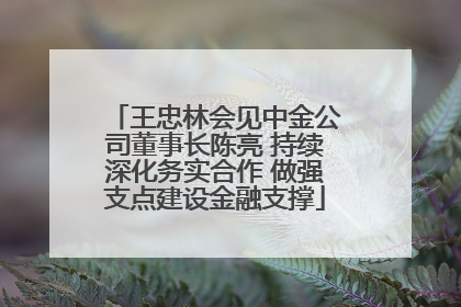 王忠林会见中金公司董事长陈亮 持续深化务实合作 做强支点建设金融支撑