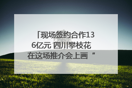 现场签约合作136亿元 四川攀枝花在这场推介会上画“图谱”列“清单”