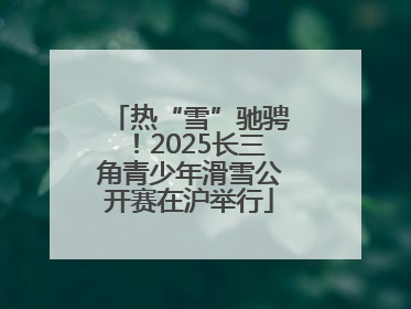 热“雪”驰骋！2025长三角青少年滑雪公开赛在沪举行