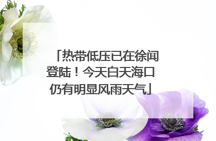 热带低压已在徐闻登陆！今天白天海口仍有明显风雨天气