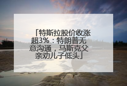 特斯拉股价收涨超3%：特朗普无意沟通，马斯克父亲劝儿子低头
