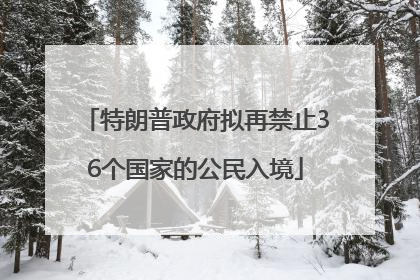 特朗普政府拟再禁止36个国家的公民入境
