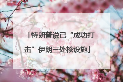 特朗普说已“成功打击”伊朗三处核设施