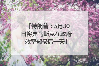 特朗普：5月30日将是马斯克在政府效率部最后一天