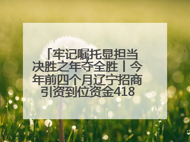 牢记嘱托显担当 决胜之年夺全胜丨今年前四个月辽宁招商引资到位资金4186.8亿元，同比增长17.4%