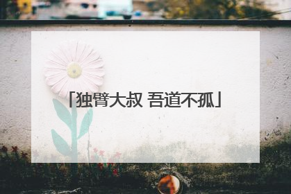 独臂大叔 吾道不孤