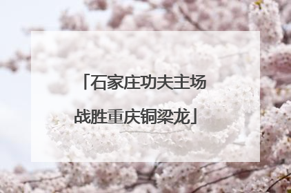 石家庄功夫主场战胜重庆铜梁龙