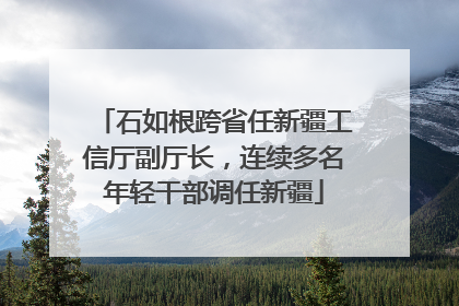 石如根跨省任新疆工信厅副厅长，连续多名年轻干部调任新疆