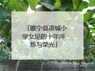 睢宁县凌城小学女足的十年淬炼与荣光
