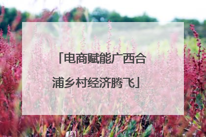 电商赋能广西合浦乡村经济腾飞