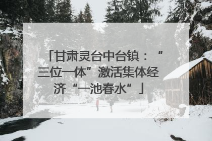 甘肃灵台中台镇：“三位一体”激活集体经济“一池春水”
