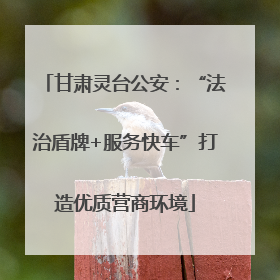 甘肃灵台公安：“法治盾牌+服务快车”打造优质营商环境
