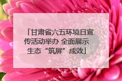甘肃省六五环境日宣传活动举办 全面展示生态“筑屏”成效