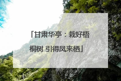 甘肃华亭：栽好梧桐树 引得凤来栖