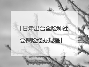 甘肃出台全险种社会保险经办规程