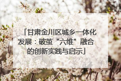 甘肃金川区城乡一体化发展：破茧“六维”融合的创新实践与启示