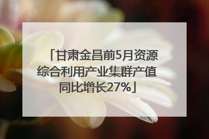 甘肃金昌前5月资源综合利用产业集群产值同比增长27%