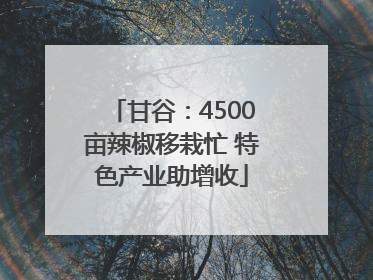甘谷：4500亩辣椒移栽忙 特色产业助增收