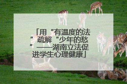 用“有温度的法”疏解“少年的愁”——湖南立法促进学生心理健康