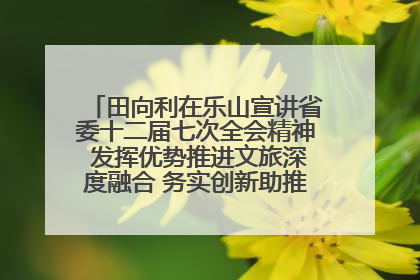 田向利在乐山宣讲省委十二届七次全会精神 发挥优势推进文旅深度融合 务实创新助推高质量发展