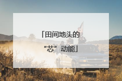 田间地头的“芯”动能