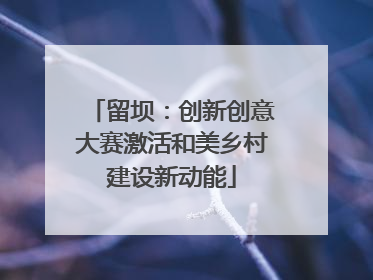 留坝：创新创意大赛激活和美乡村建设新动能