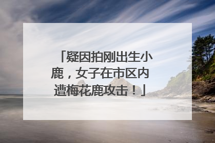 疑因拍刚出生小鹿，女子在市区内遭梅花鹿攻击！