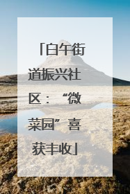 白午街道振兴社区：“微菜园”喜获丰收