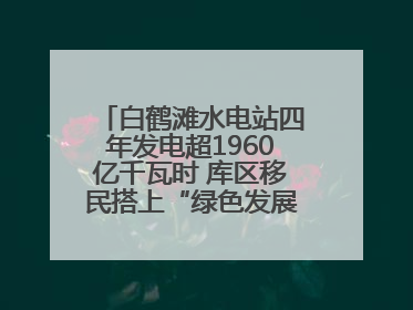 白鹤滩水电站四年发电超1960亿千瓦时 库区移民搭上“绿色发展快车”