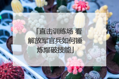 直击训练场 看解放军官兵如何锤炼爆破技能