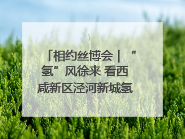 相约丝博会｜“氢”风徐来 看西咸新区泾河新城氢能产业聚链成势