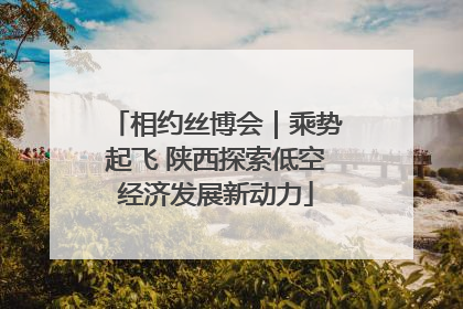 相约丝博会｜乘势起飞 陕西探索低空经济发展新动力