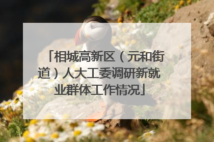 相城高新区（元和街道）人大工委调研新就业群体工作情况
