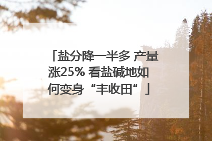 盐分降一半多 产量涨25% 看盐碱地如何变身“丰收田”