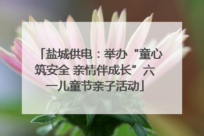 盐城供电：举办“童心筑安全 亲情伴成长”六一儿童节亲子活动