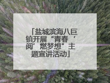盐城滨海八巨镇开展“青春‘阅’燃梦想”主题宣讲活动