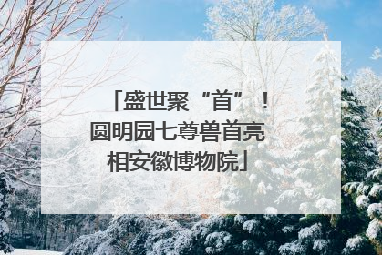 盛世聚“首”！圆明园七尊兽首亮相安徽博物院