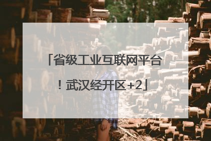省级工业互联网平台！武汉经开区+2