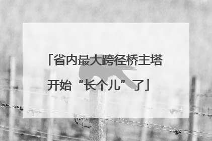 省内最大跨径桥主塔开始“长个儿”了