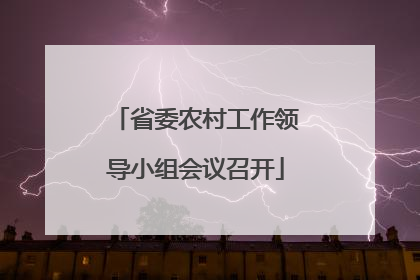 省委农村工作领导小组会议召开